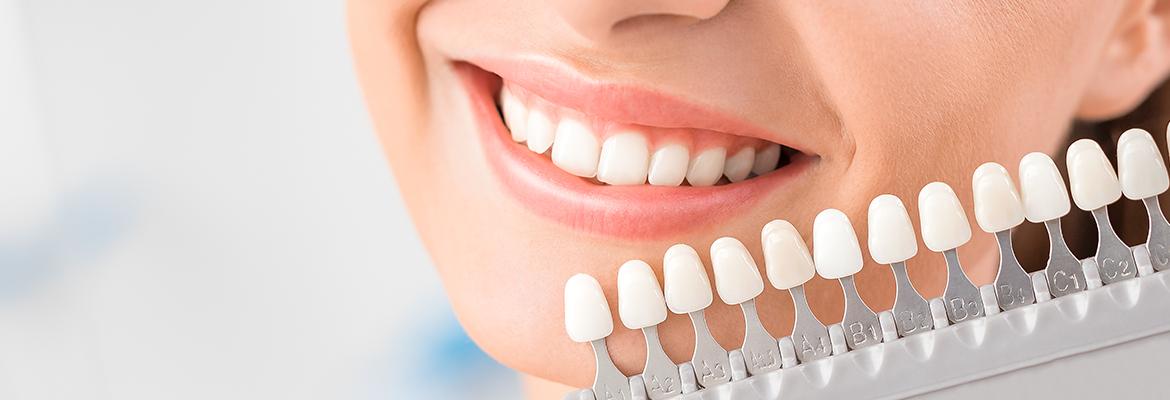 HP State Dental Council - Banner 5